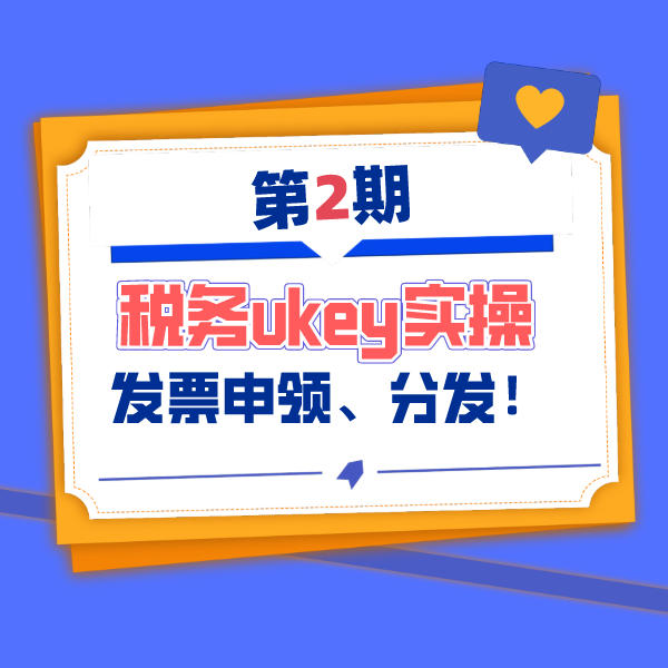 增值税发票开票软件(税务ukey版)